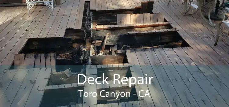 Deck Repair Toro Canyon - CA